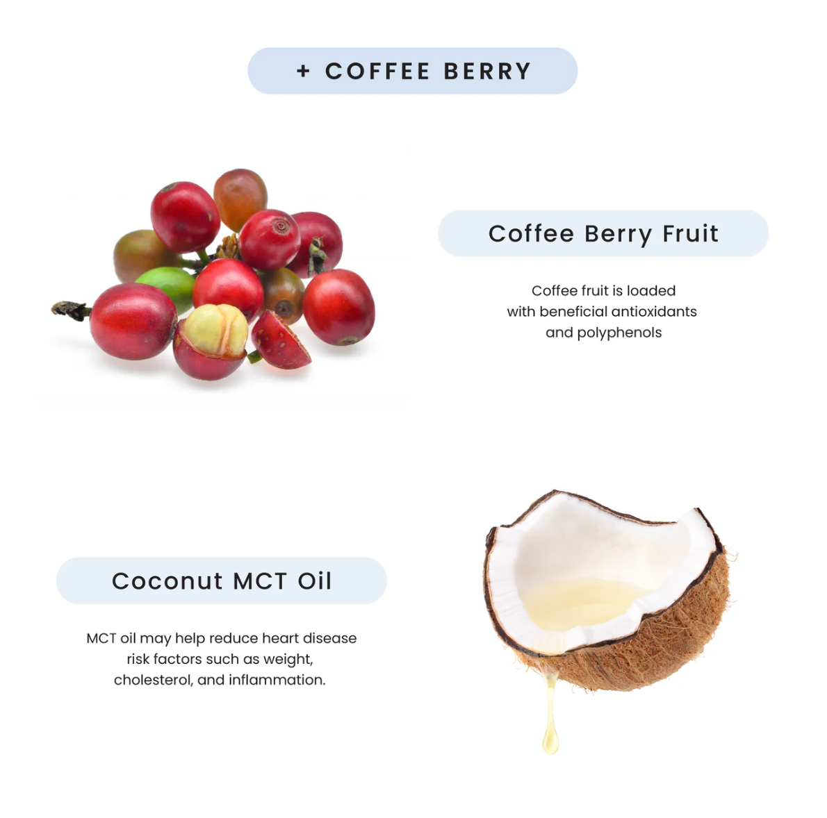 Classic Cold Brew