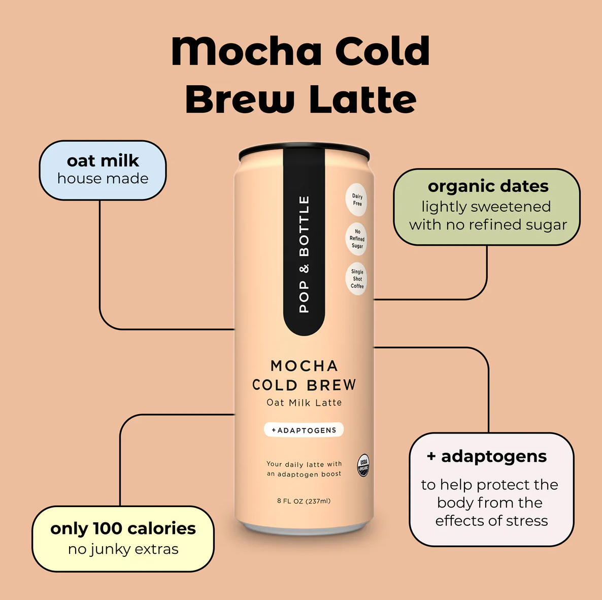 Mocha Cold Brew